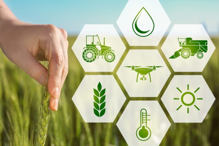 Hợp tác xã Nông Nghiệp Dịch Vụ An Farm Đà Lạt