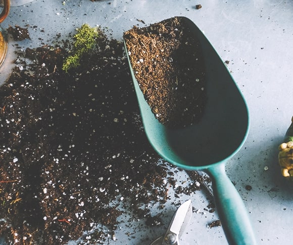 Hợp tác xã Nông Nghiệp Dịch Vụ An Farm Đà Lạt