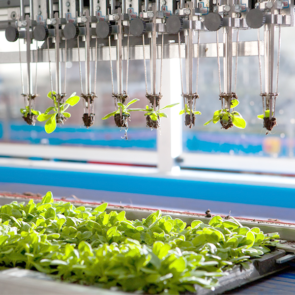 Sản xuất kinh doanh phân bón